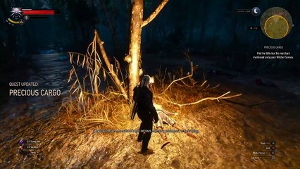 The Witcher 3  Wild Hunt - "Precious Cargo" quest