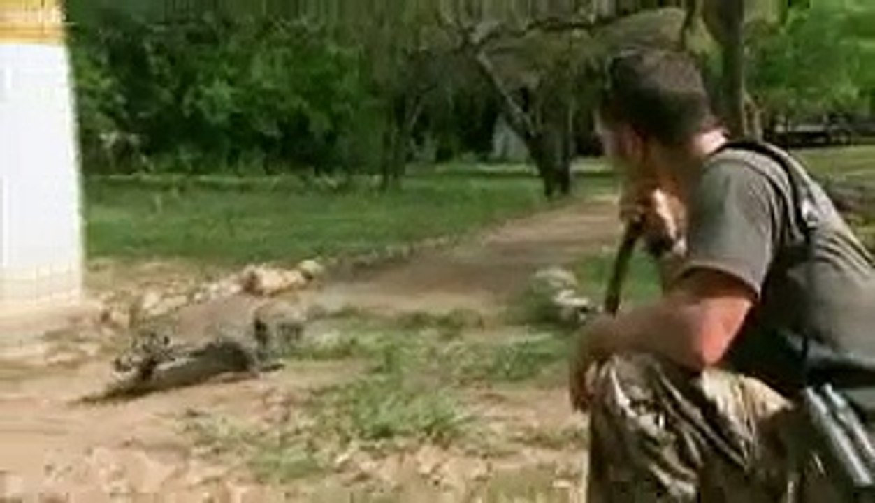 Largest Lizard on Earth - The Komodo Dragon