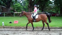 Contact. Going back to the basics for the horse and rider. Walk.  S4  Riding Instruction