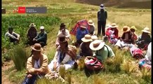 Producción de Granos Andinos en Puno: La Quinua y la Cañihua.mp4