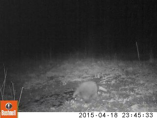 OVNI / UFO MORRIS PA