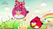 Finger Family ♥ Angry Birds Cartoon ♥ Nursery Rhymes for Children ♥ Daddy Finger song