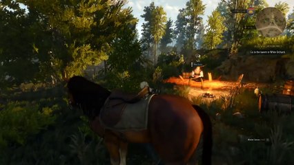 The Witcher 3: Wild Hunt - “Precious Cargo” quest (Official Trailer)