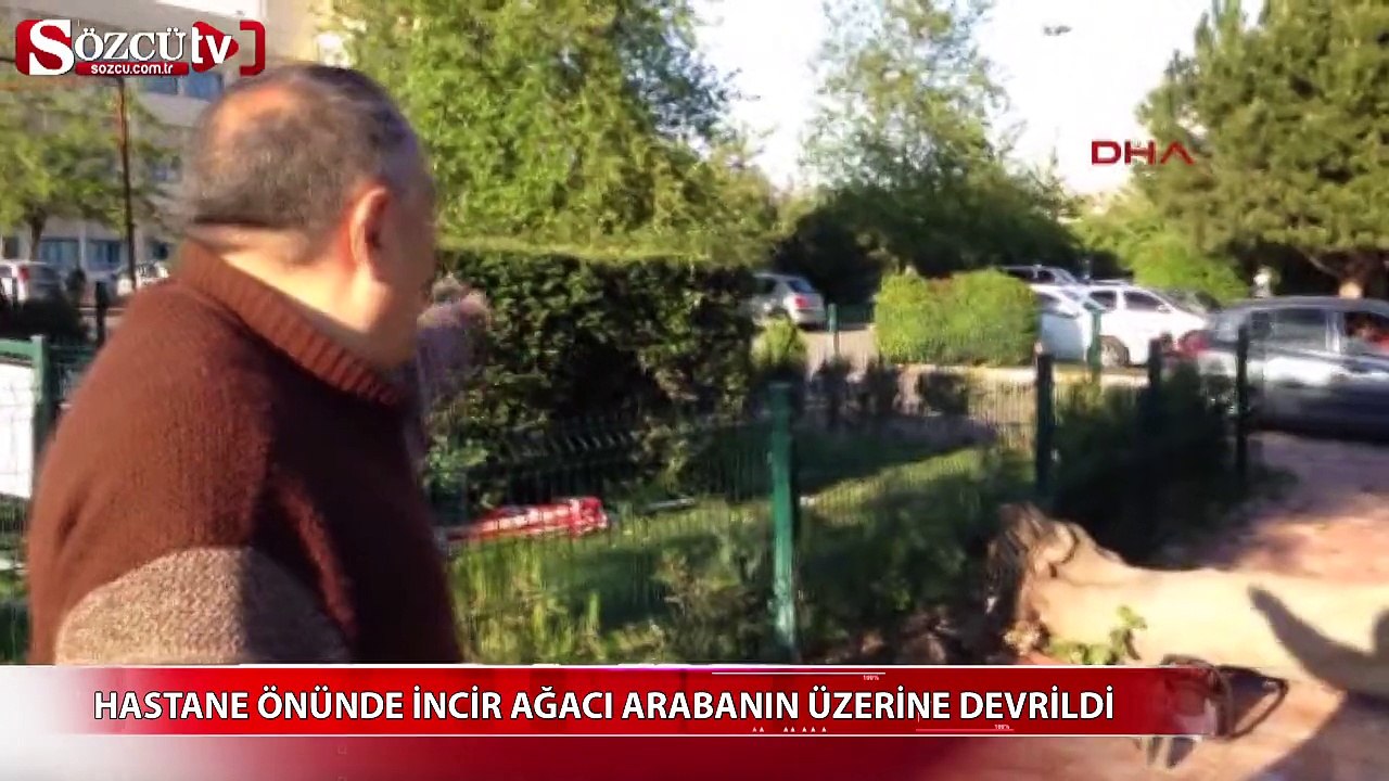 Hastane önündeki incir ağacı, otomobilin üzerine devrildi