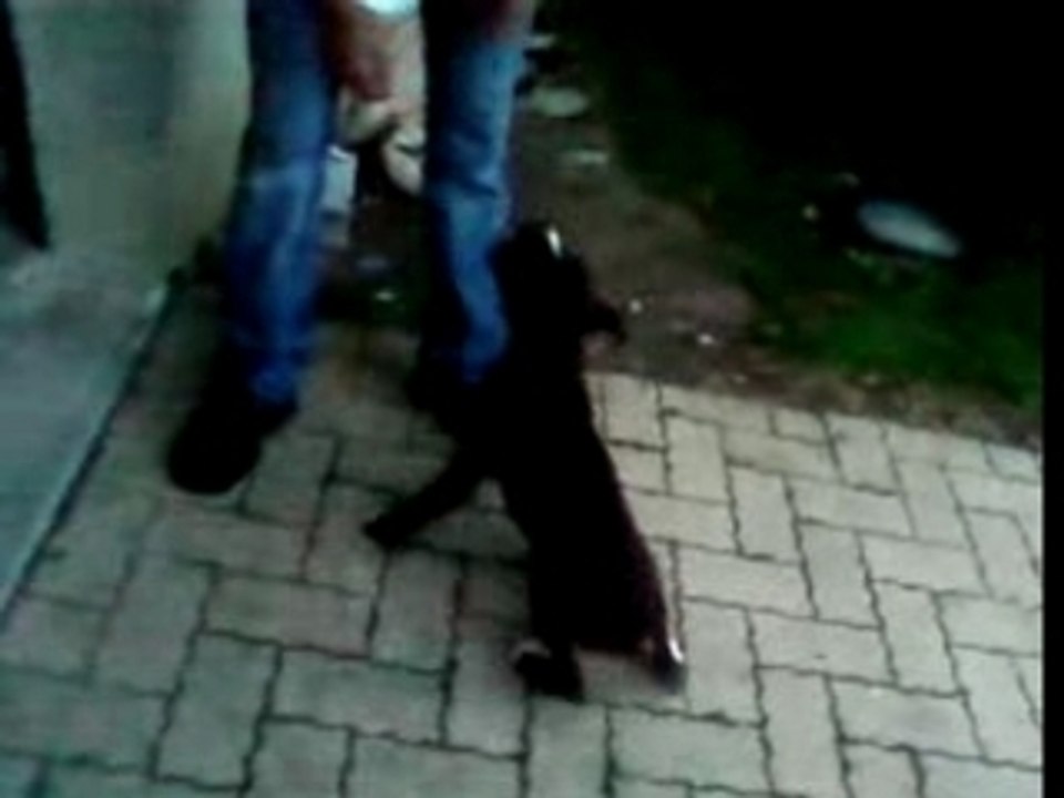 Bouba petit