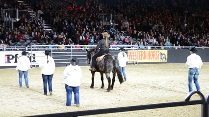 At insanlarla grup dansı yaparken