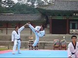 Korean Tae Kwon Do Demo Team