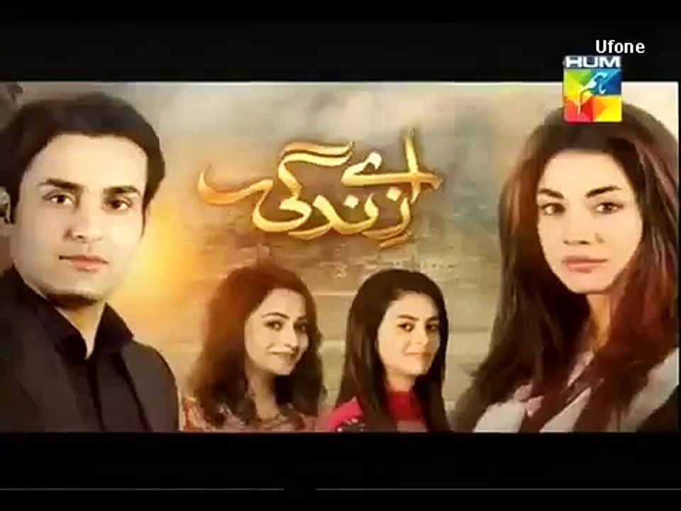 Aye Zindagi Episode 8 Promo 23 April 2015 Full Hum Tv