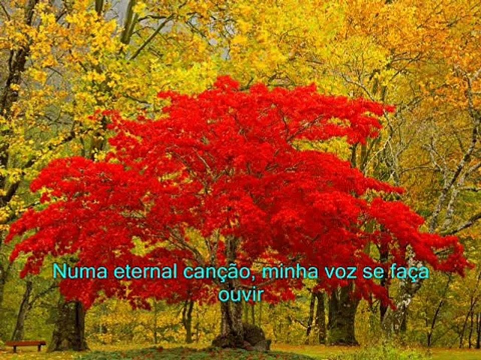 Consagrado ao Senhor (432) Harpa Cristã Instrumental - Joãozinho Camargo Music (PSR 3000)