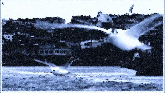 Mehmet C. Yeşilçay - Morning in Ortaköy ☆彡