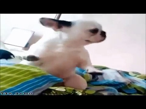 lets see some Fun.............