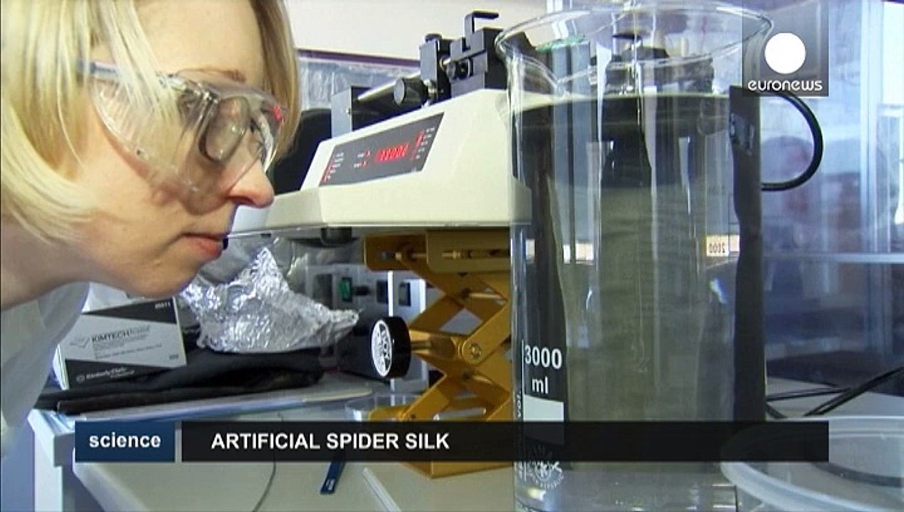 Científicos alemanes crean seda de araña artificial
