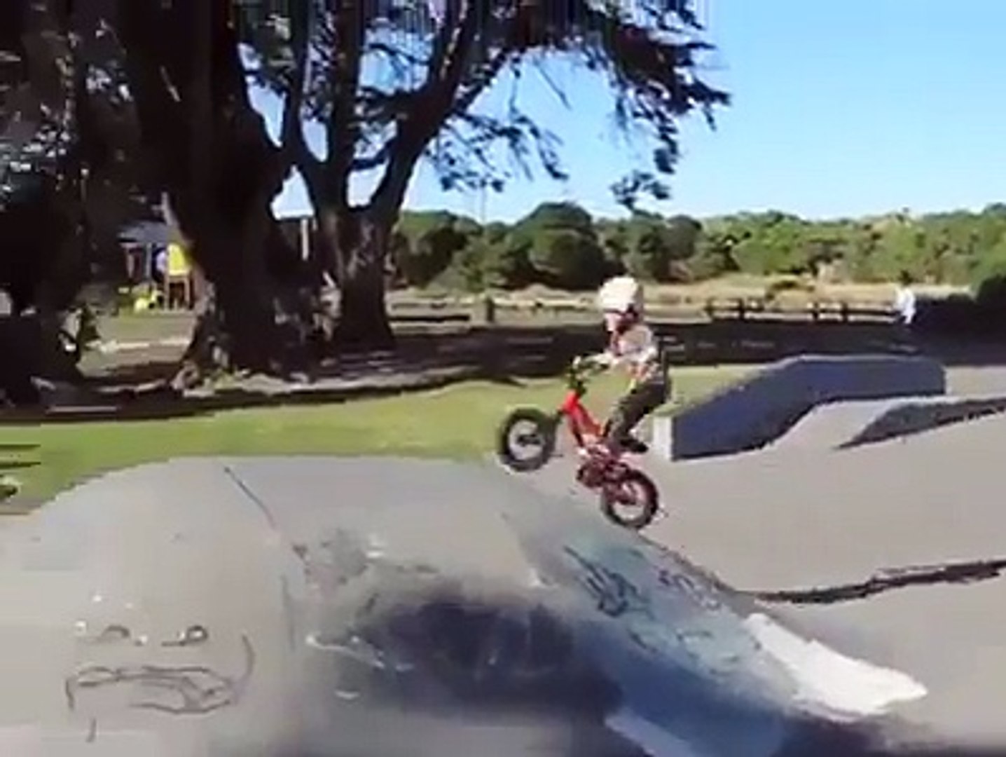 baby race