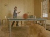 Ping Pong