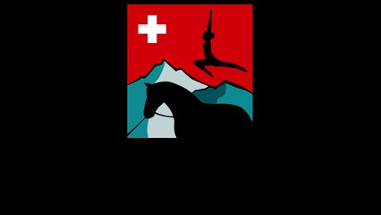 Livestream CVI Bern