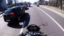 VIDEO : ces motards sauvent un chein sur la route