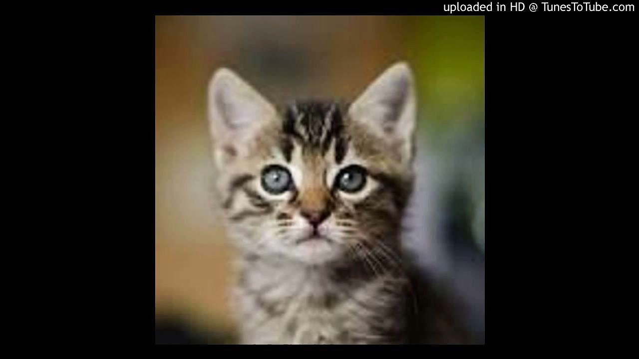 ボラー連邦/宇宙戦艦ヤマト/Space Battleship Yamato/Star Blazers/宮川泰/ピアノ 高橋丈太郎