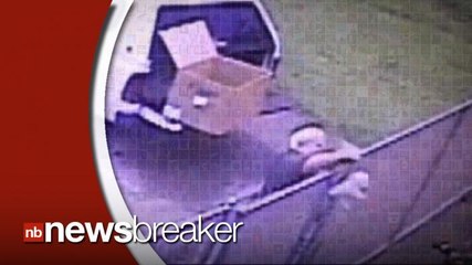Man Arrested After Disturbing Footage Shows Him Tossing Puppies Over Fence