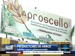 Fevearroz pide rentabilidad en la actividad agrícola