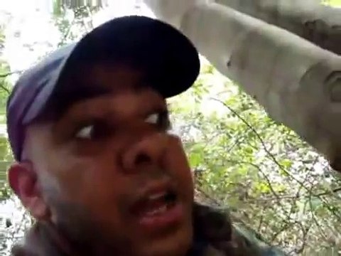 Gator Bites An Electric Eel & Gets Shocked To Death!