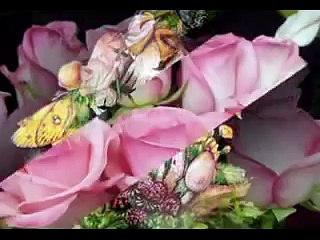 Paco Stanley Poema Cuando estemos viejos