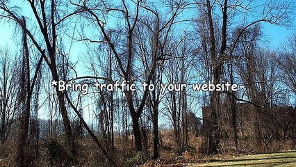 The Four Principles of Making an Income Online