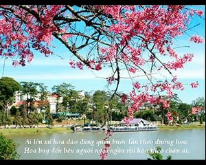 Ai Len Xu Hoa Dao -Hoang Nguyen- Hoang Oanh & Trung Chinh-VD