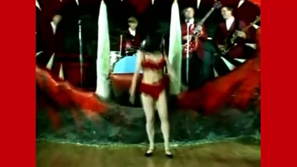 The Castaways - HD STEREO - Liar Liar