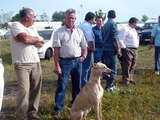 Fuente de Cantos, Carrera de Galgos