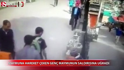 Maymuna hareket çekti, bedelini ödedi