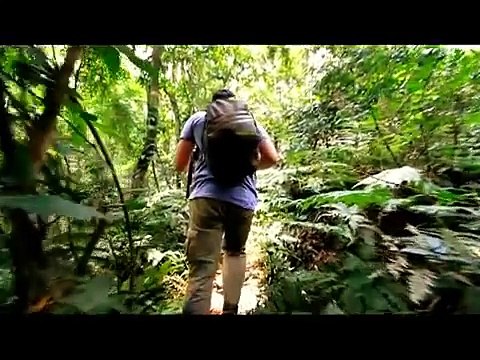 Churchill Safaris and Travel _ Africa Safari Tours for any Budget