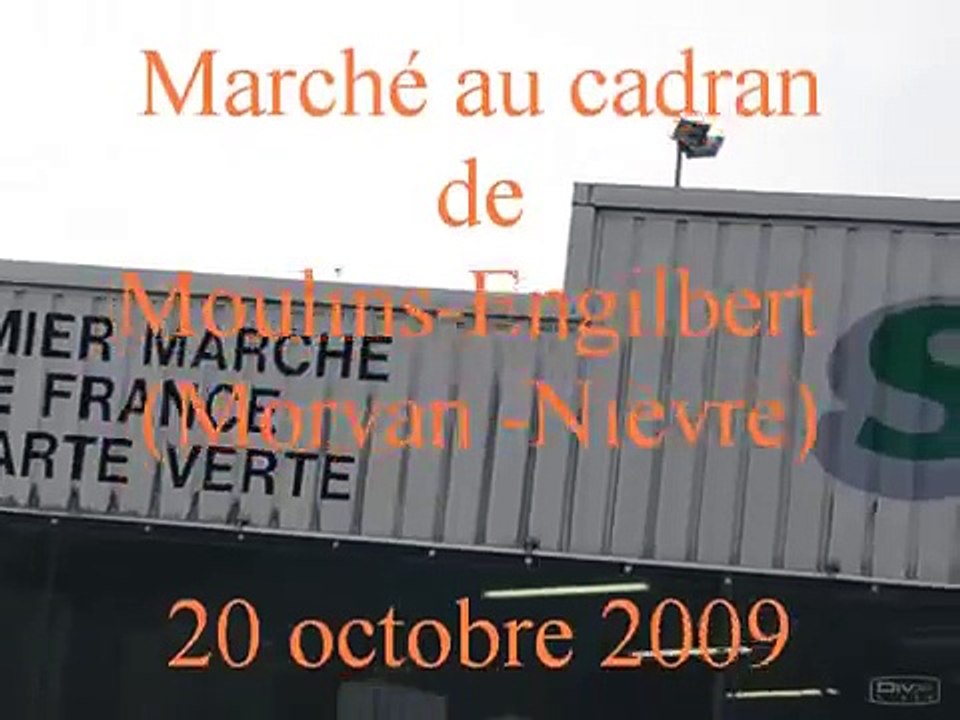 Marché au cadran de bovins à Moulins-Engilbert (Morvan - Nièvre)