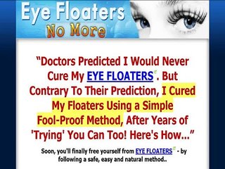 Eye Floaters No More