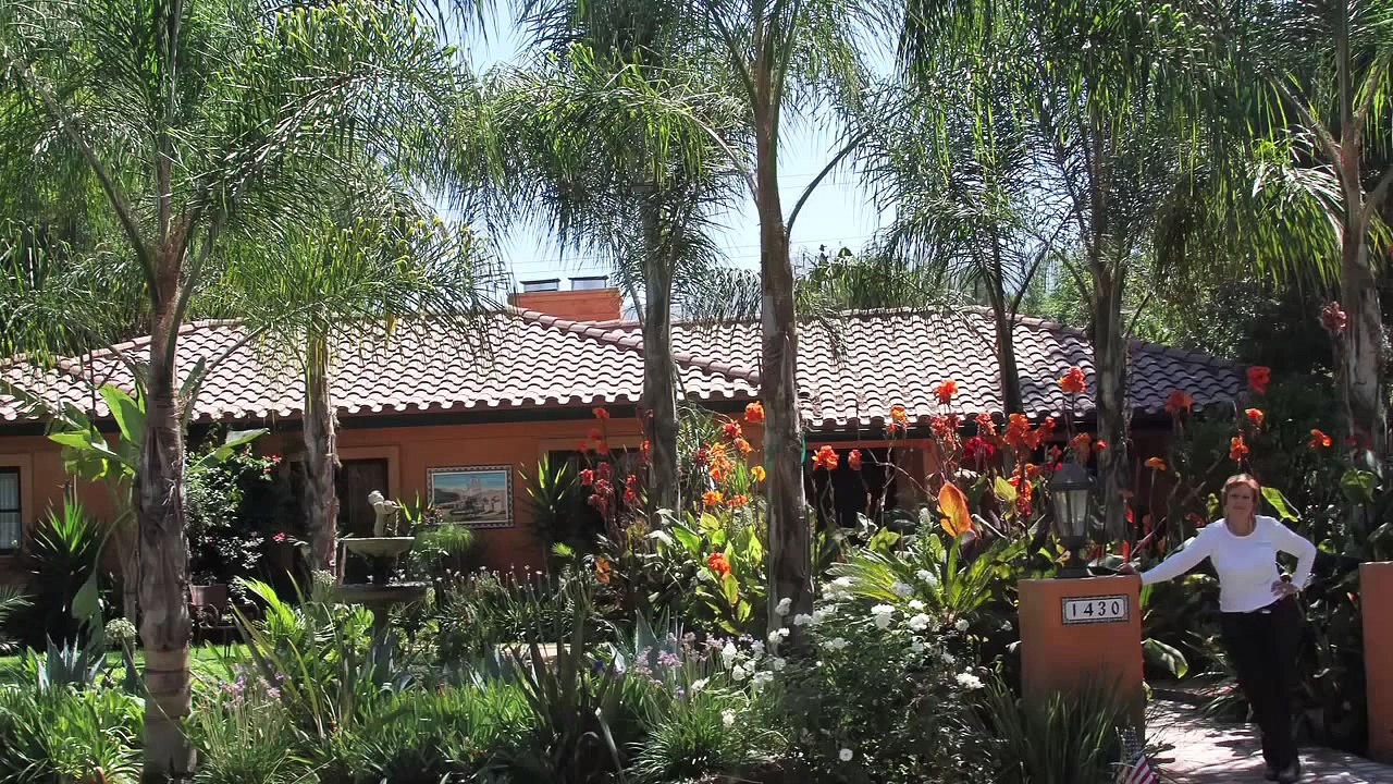 PERUVIAN PASO HORSE IN CALIFORNIA & HORSE WHISPERING-ANNETTE KART NAPHA