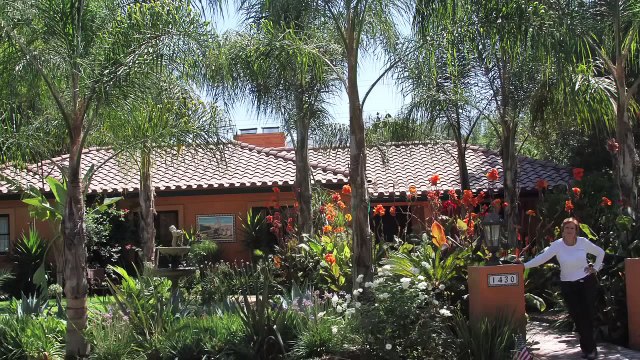 PERUVIAN PASO HORSE IN CALIFORNIA & HORSE WHISPERING-ANNETTE KART NAPHA