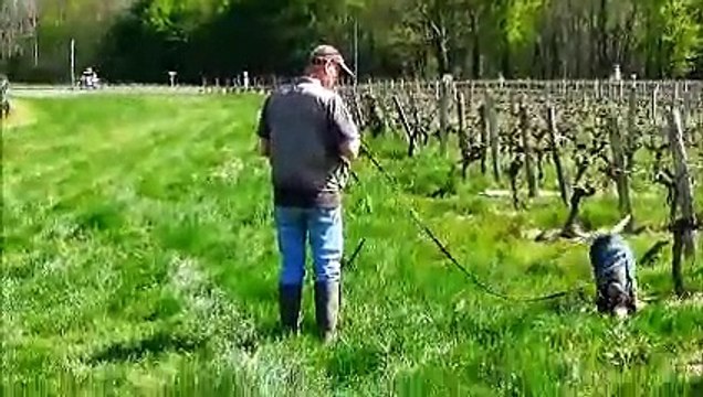 Entraînement Recherche Utilitaire avec Ivone.