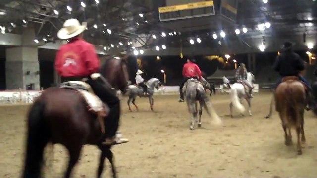 Rancho La Caridad-Caballos Bailadores en La Feria del Caballo Español 2009