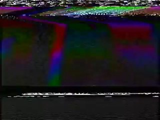 世界初! ホホジロザメがシャチに食われる映像を捕らえたニュース（1997年10月8日放送）
