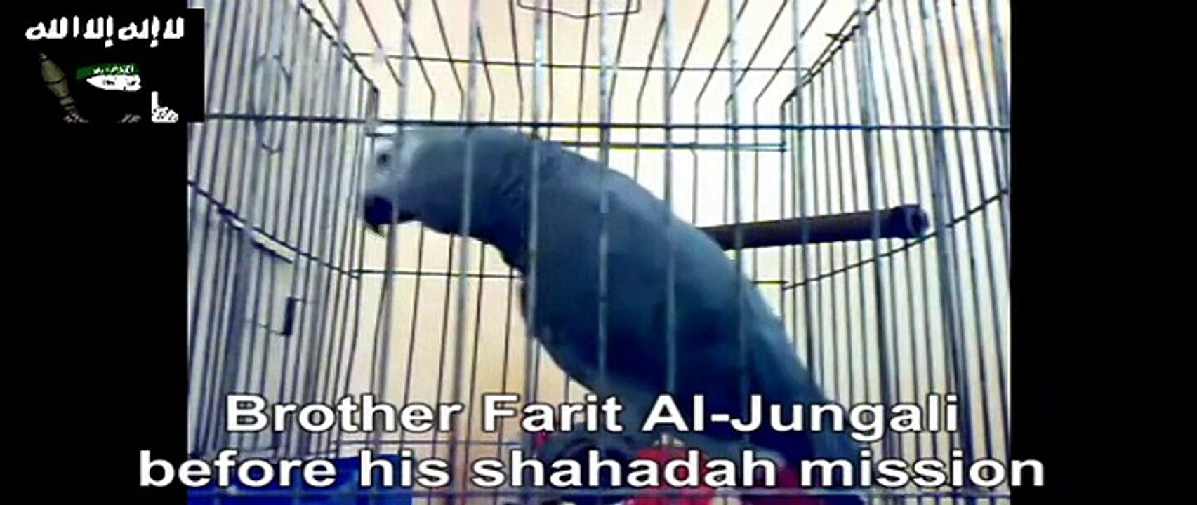 RUDIRUBEL AUF SELBSTMORD MISSION ALLAH AKBAR