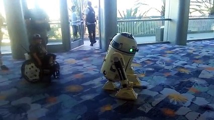 R2-D2 danse avec un enfant en chaise roulante ! Star Wars Celebration 2015