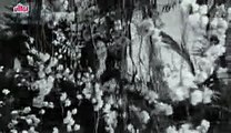 Aaja Sanam Madhur Chandani - Raj Kapoor, Nargis, Chori Chori Song_low