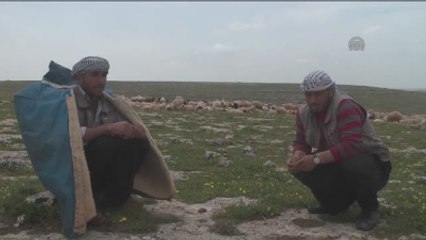 Telefonun Şarjı Eşek Sırtındaki Güneş Panelinden