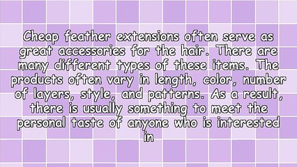 Gorgeous Cheap Feather Extensions Wonderful Accessory To Give As Gifts To Self Or Others