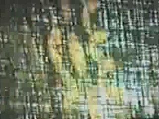 Norman Mclaren - fiddle-de-dee (1947)