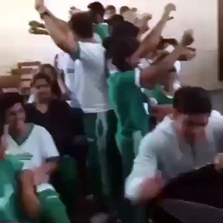 Crazy bus
