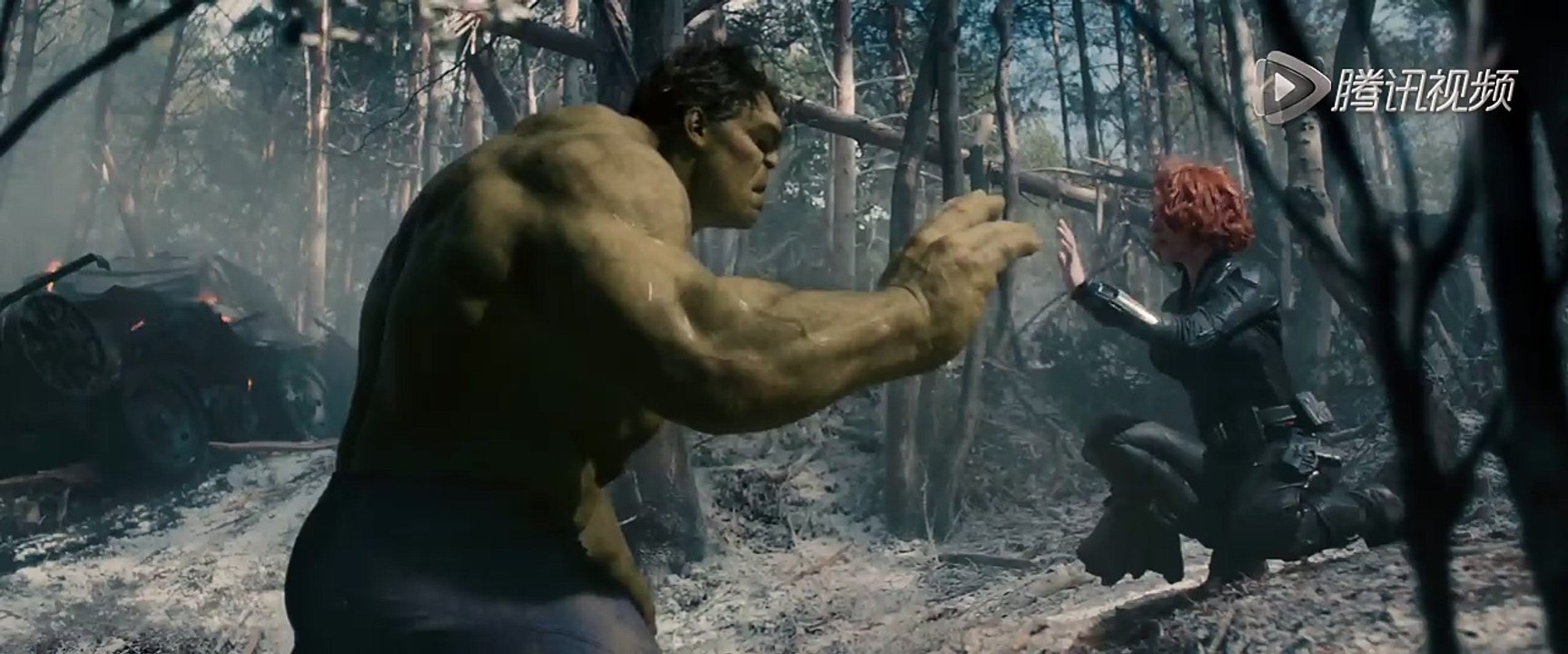 2015 movie Avengers Age of Ultron Hulk and Black Widow