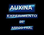 auxinas - hormonas vegetales