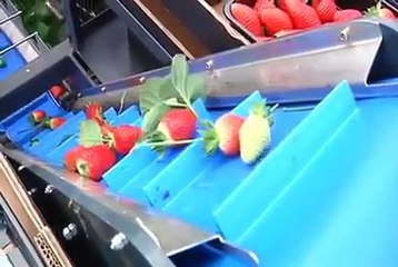 Amazing Machine Help In Farming