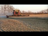 Harvesting Wheat in North-West Saskatchewan, Canada