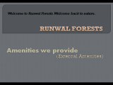 Runwal FORESTS 4 - runwal forests cheat